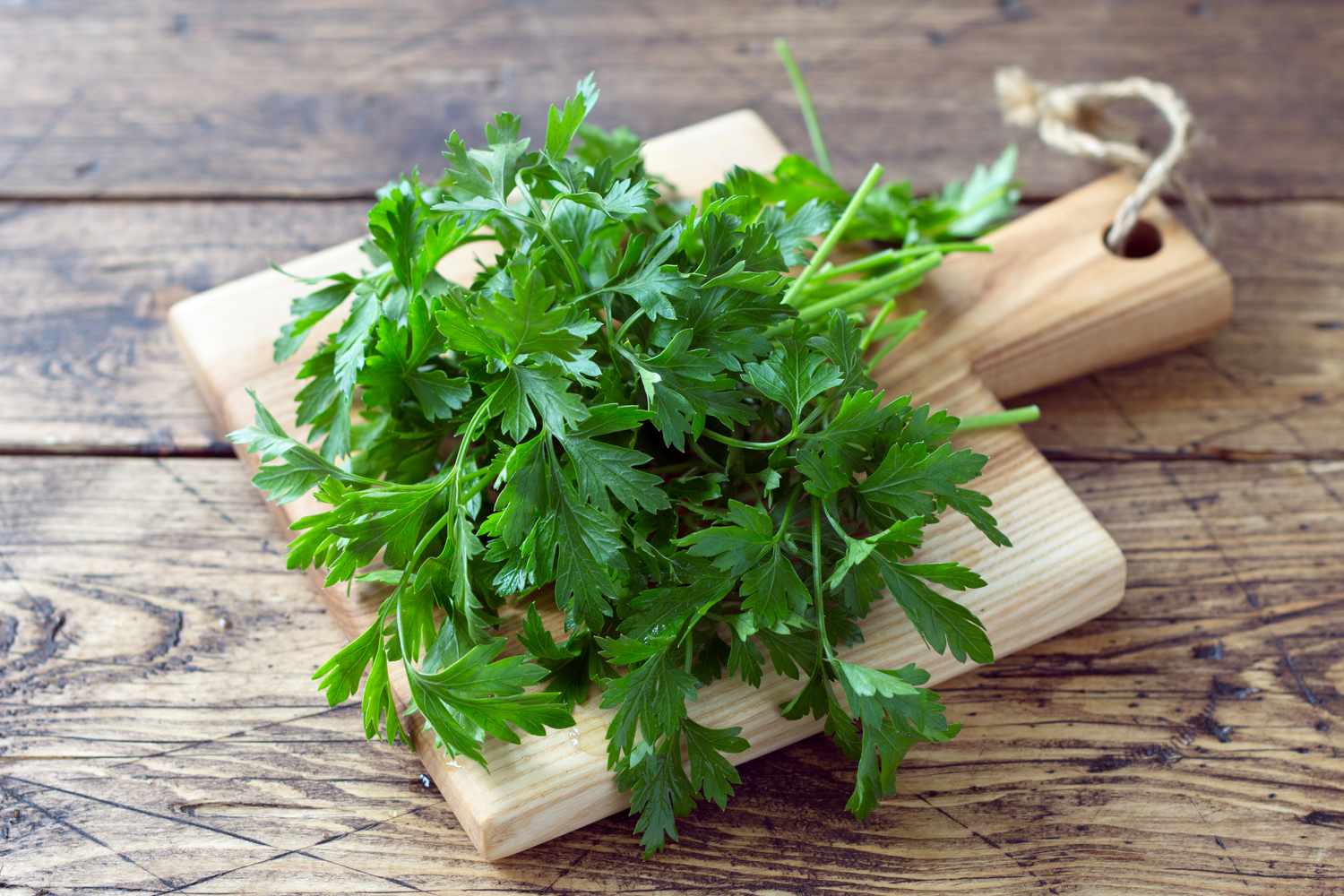 Parsley vs. Cilantro: Easily Tell Them Apart by Scent & Leaf